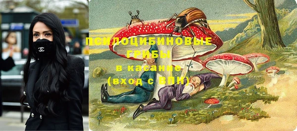 прущие грибы Липки