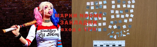 шишки Осташков