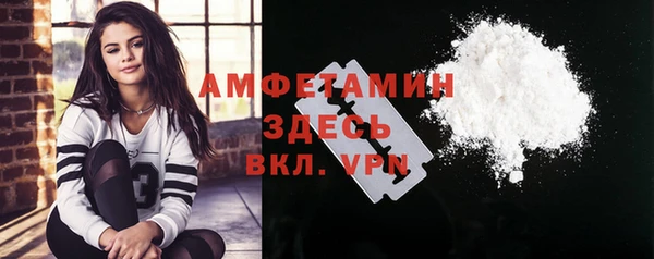 шишки Осташков