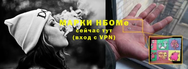 шишки Осташков