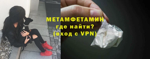 шишки Осташков