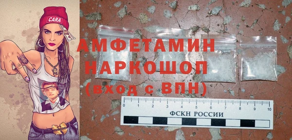шишки Осташков