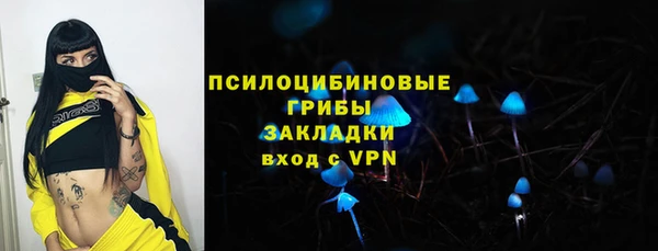 амф Нязепетровск