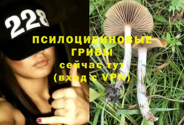 шишки Осташков