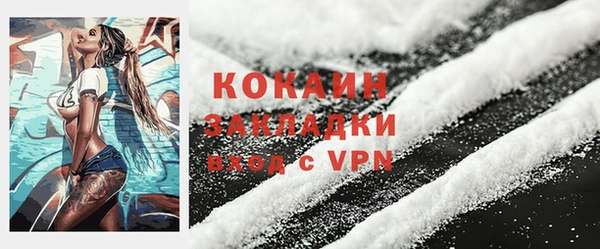шишки Осташков
