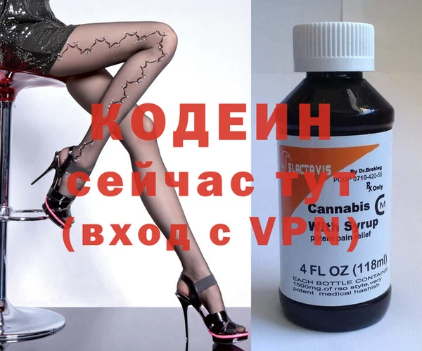 шишки Осташков