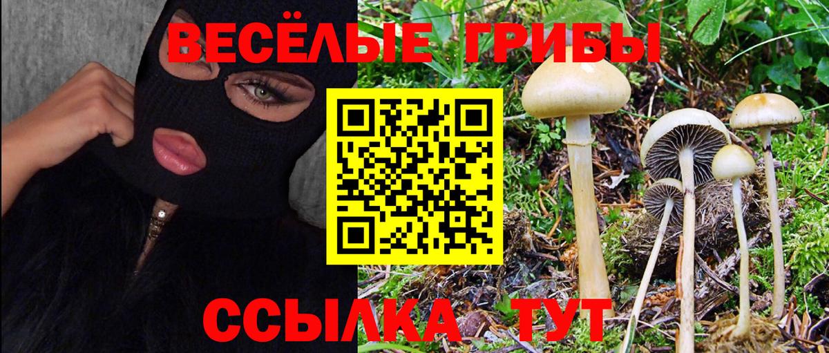 Галлюциногенные грибы прущие грибы Краснотурьинск