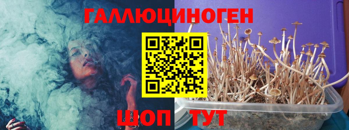 Краснотурьинск  Псилоцибиновые грибы Psilocybe  Вход с VPN 